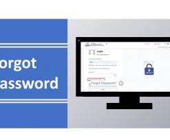 Forgot password
