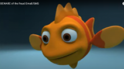 Beware of fraud email and sms